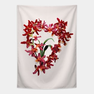 Oncostele Hilo Firecracker 'New Year' Tapestry