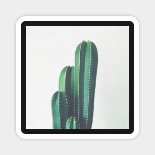 Organ Pipe Cactus Magnet