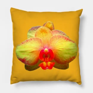 yellow orchid, orchids, flower, blossom Pillow