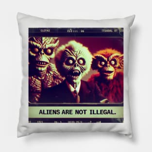 Aliens are not illegal Pillow