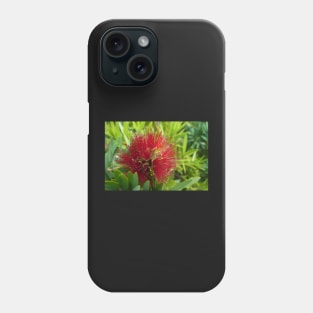 Red Bottlebrush Flower Phone Case