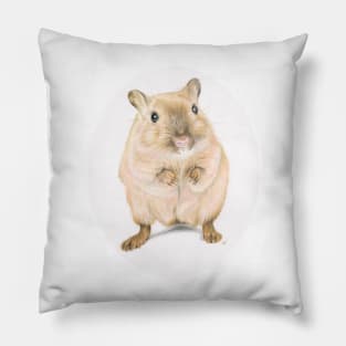 Hamster, coloured pencil drawing Pillow