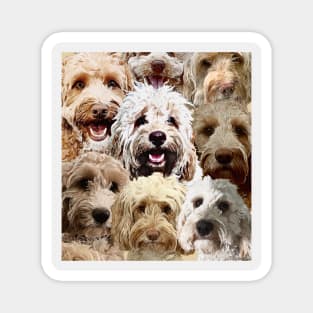 Apricot Blonde Doodle Dogs Magnet