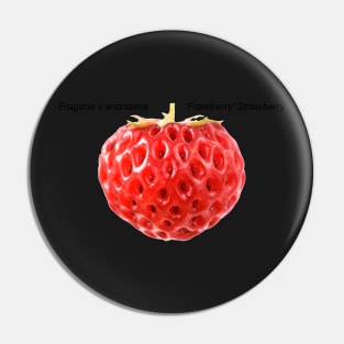 Fragaria x ananassa 'Framberry' Strawberry Pin