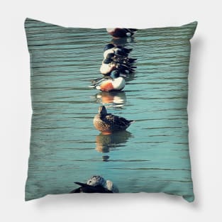 Ducks in a row Pillow