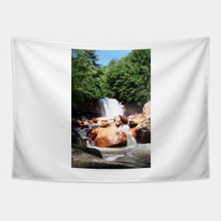 Douglas Falls - Thomas, WV Tapestry