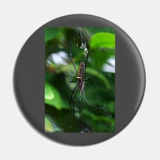 Orb Weaver Pin