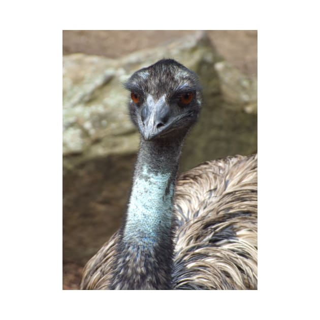 Emu by kirstybush