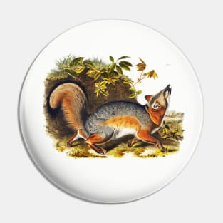 RED GREY FOX AMONG LEAVES Pin