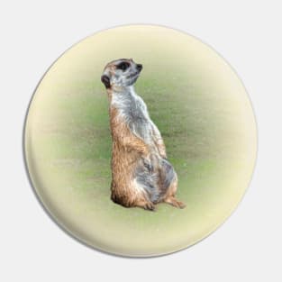 Meerkat Pin