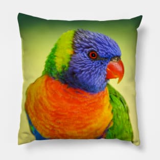 Rainbow Lorikeet Pillow
