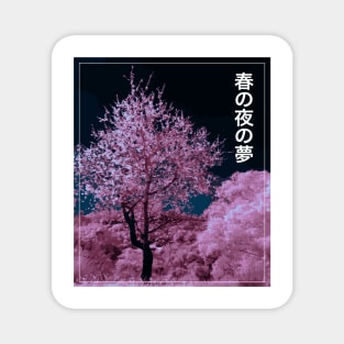 A Spring Night's Dream, Sakura Cherry Blossom Magnet