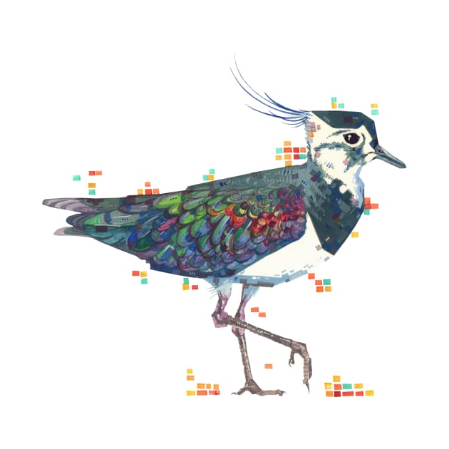 Lapwing by anotheroutsider