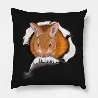 Ginger bunny rabbit bursting through hole   - cute ginger bunny rabbit black background Pillow