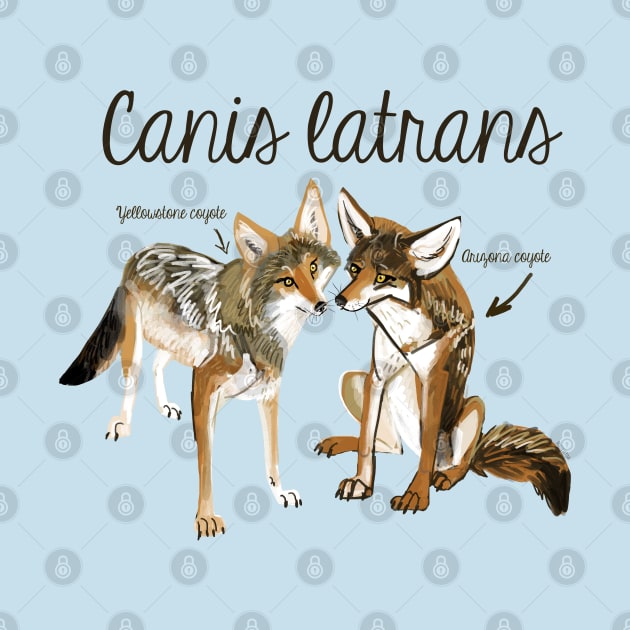 Coyote in love #2 by belettelepink