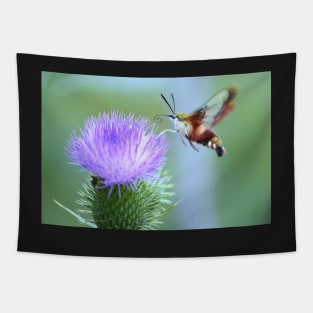 Hummingbird Clearwing Moth Tapestry