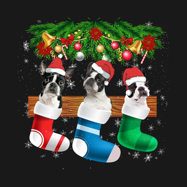 Three Boston Terrier In Sock Christmas Santa Hat X mas Dog by franzaled