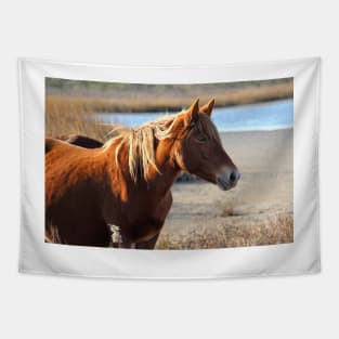 Assateague Beach Ponies - Series - 05 Tapestry