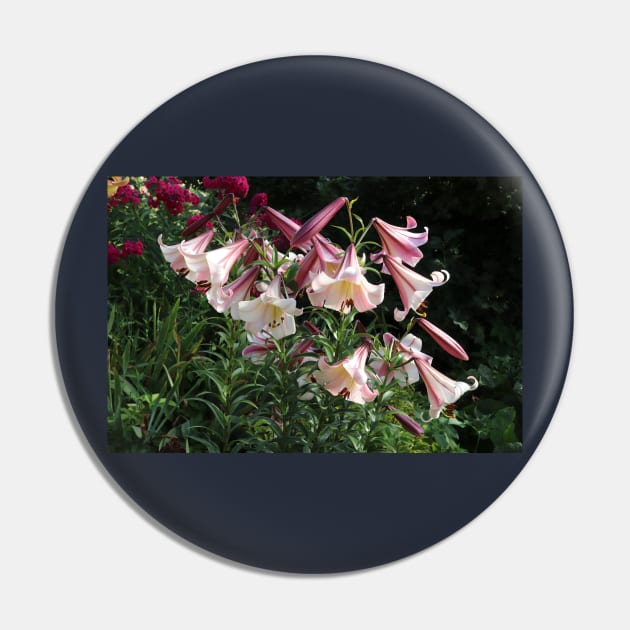 lilies in summer Pin by ylleloog