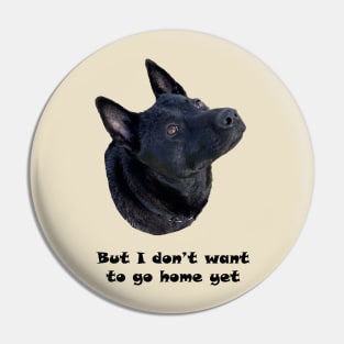Dog Lover - I Don't Want to Go Home Yet Pin