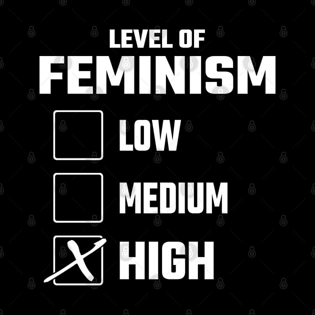 Level of Feminism by Stoney09