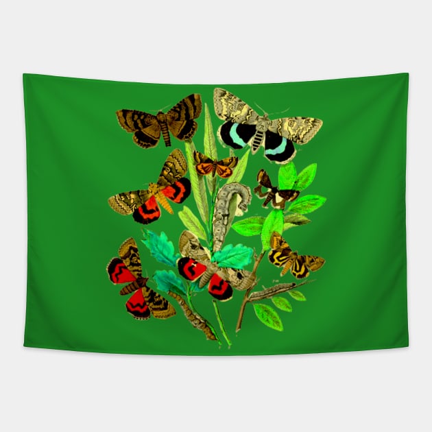 butterfly   moth caterpillar larva pupa insect Tapestry by vabontchi