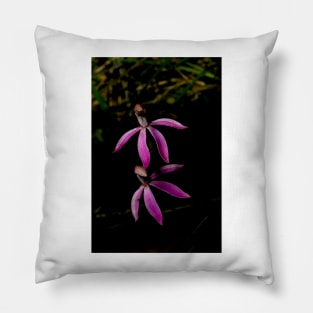 Black Tongue Caladenia Pillow