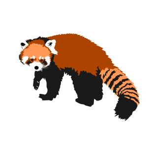 Red Panda T-Shirt