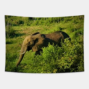 Elephant Tapestry