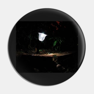 Garden Solar Light in the Dark Pin