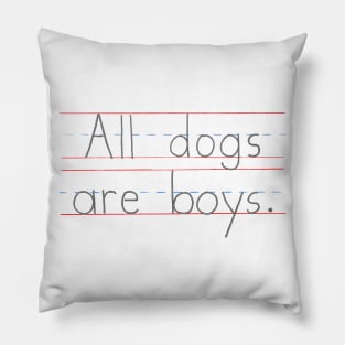 All Dogs Are Boys Pillow