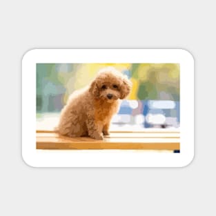 Poodle Puppy Digital Painting Magnet