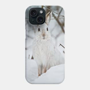 Show Shoe Hare Phone Case