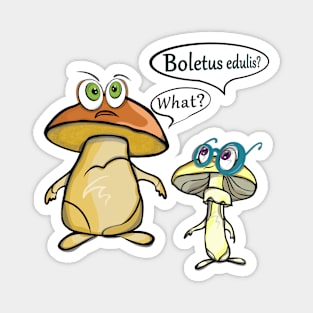 Boletus edulis? What? "'Crazy mushrooms'' Magnet