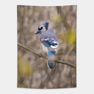 Blue Jay with brown and grey blurred background and green blurred leaves Tapestry