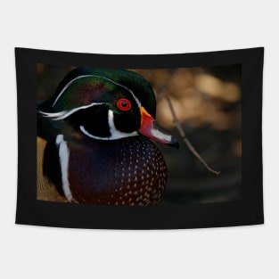 Wood Duck - Male Close Up Tapestry