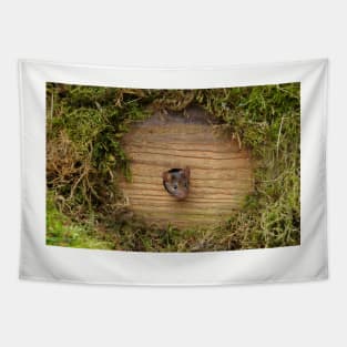 mouse in a hole Tapestry