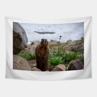 Standing Marmot Tapestry