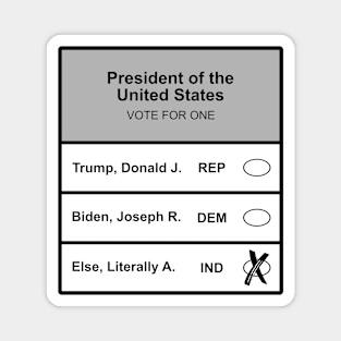 Literally Anybody Else 2024 President Donald Trump Joe Biden Magnet