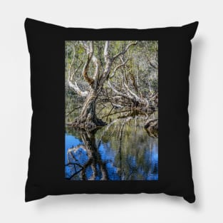 Reflection Pillow