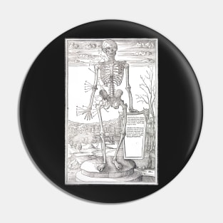 Anatomical skeleton illustration from De dissectione partium corporis humani libri tres published circa 1545 (Cleaned to remove bleed thru text) Pin