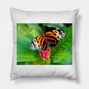 Tigerwing Butterfly Pillow