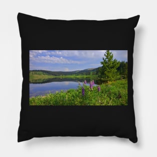 Dumont Lake Pillow