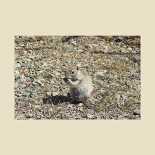 prairie dog, wildlife, animals, nature, gifts T-Shirt