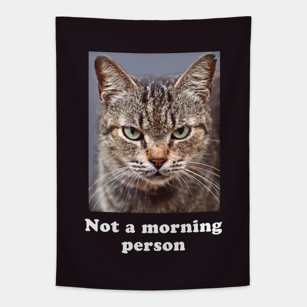 Not a Morning Person Grumpy Kitty for Men & Women Tapestry by Pine Hill Goods