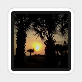 Palm Tree Sunrise Magnet