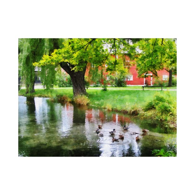 Farms - Ducks on Pond by SusanSavad