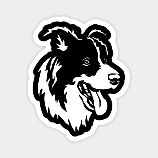 Border Collie Sheep Dog Dogs Magnet