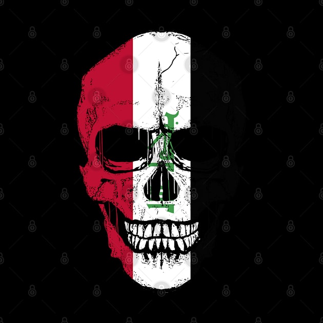 Iraq Flag Skull Iraqi Flag Human Skull by BramCrye