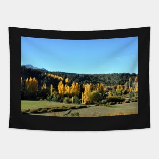 Argentine - San Carlos de Bariloche Tapestry